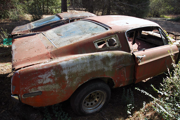 1967 1968 Mustangs for sale now on eBay